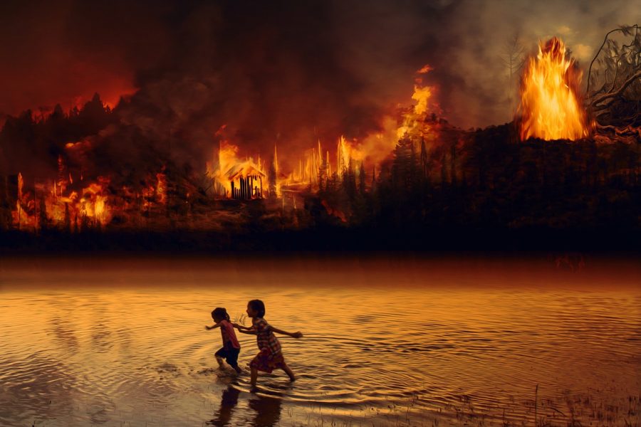 Forest+Fire+Fear+Fire+Children+Amazon+Flame