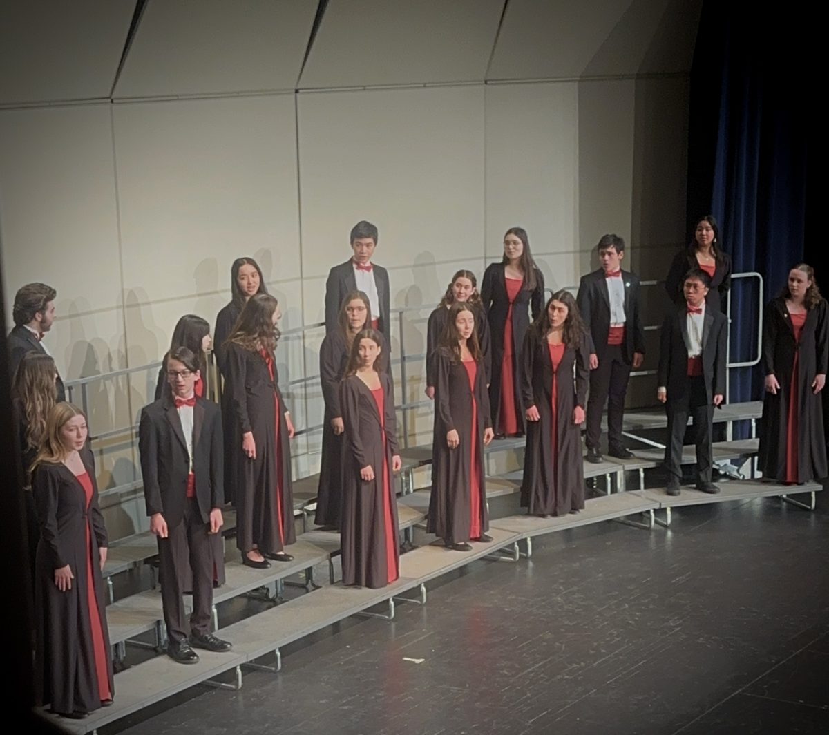 The Madrigals made an appearance at the Choir Concert as well.