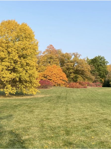 A peaceful moment at the Morton Arboretum during the Lenses Retreat
