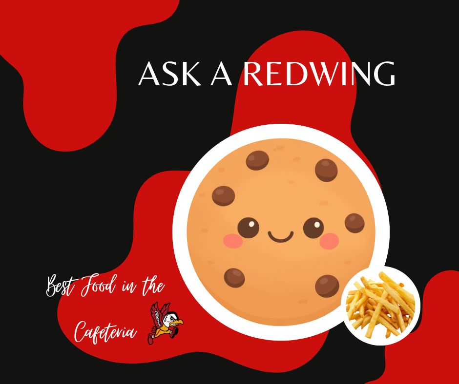 What do Redwings Eat?